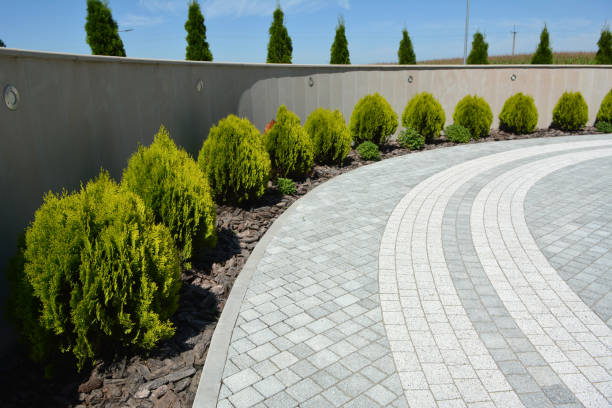 Best Professional Driveway Pavers  in St Ann, MO